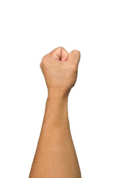istock Male hands making fists isolated on a white background. 2165390386