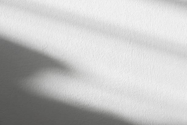istock White Background,Studio Room with Bright Light,Leaves Shadow on Wall,Backdrop for Product Presentation for Spring,Summer,Empty Grey Display product with blurry abstract sunlight on cement floor 2165395908