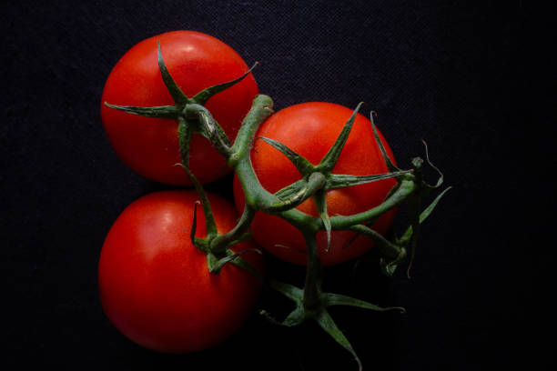 istock Three vibrant tomatoes on the vine set against a dark background. 2165398542