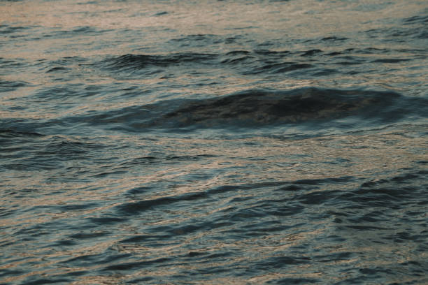 istock Waves on the shore and the horizon 2165398620