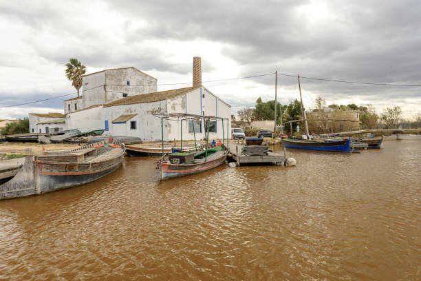 Traditional boats docked along a muddy riverbank under a dramatic, cloud-filled sky, showcasing a tranquil rural landscape