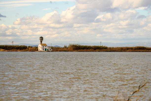 A charming thatched-roof cottage stands by the water's edge in Albufera Natural Park near Valencia, offering a peaceful rural retreat.