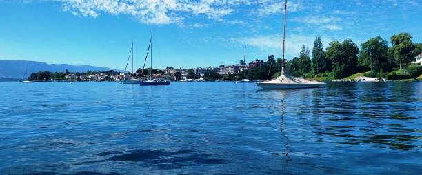 View of a small port, trees and some buildings