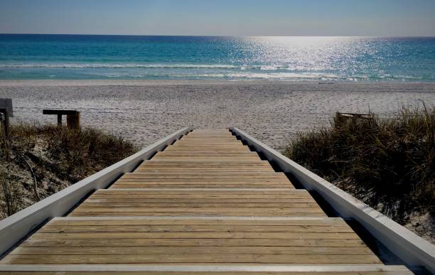 istock Day at the beach 2165404771