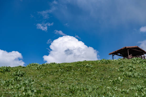 A slightly upward shot from the Nalati Grassland, featuring vibrant green grass and a thatched-roof viewing pavilion in the lower part of the frame. The background showcases a blue sky with white clouds that appear to rise from the ground, enhancing the scenic beauty of the landscape.