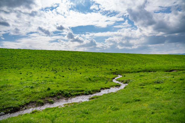 istock Winding Stream Through Nalati Grassland 2165406534