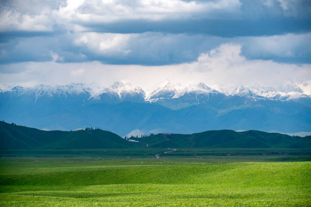 istock Scenic Pathway Through Nalati Grassland 2165406572