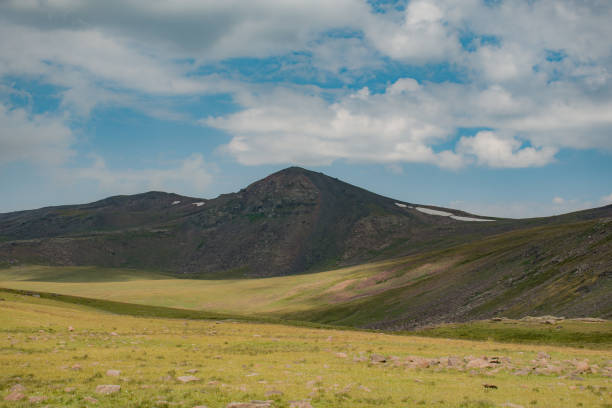 Beautiful mountains in summer time
