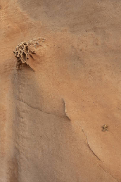 istock Sandstone Formation with Honeycomb Weathering 2165408691
