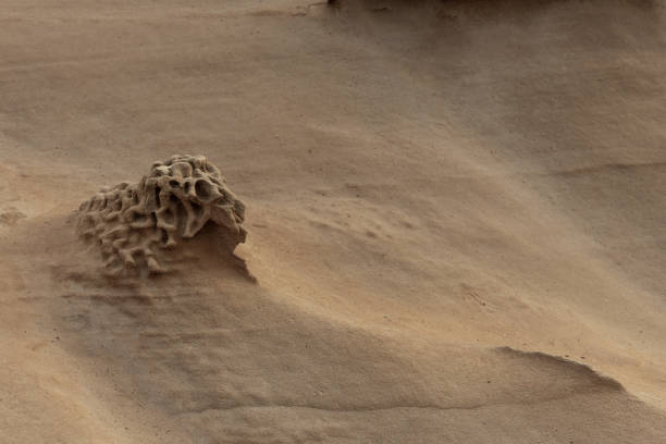 Close-up of a sandstone formation featuring prominent honeycomb weathering. Highlights natural erosion patterns and textures. Ideal for geological studies and nature backgrounds.