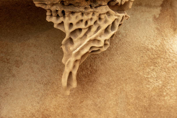 Close-up of sandstone rocks showcasing detailed honeycomb weathering patterns and natural textures. Ideal for geological studies and nature themes.