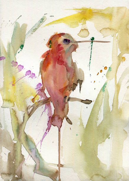 istock Hummingbird illustration in watercolor 2165410410