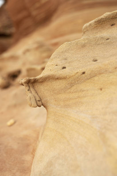 Close-up of intricate sandstone swirls and erosion patterns, highlighting the natural beauty and texture of sedimentary rock formations. Perfect for geological themes and backgrounds.