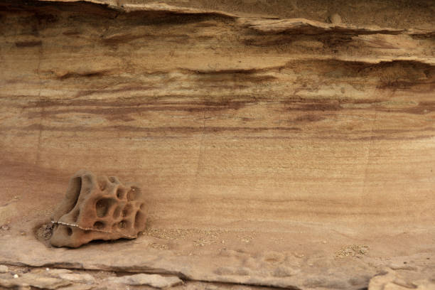 Close-up of intricate sandstone swirls and erosion patterns, highlighting the natural beauty and texture of sedimentary rock formations. Perfect for geological themes and backgrounds.