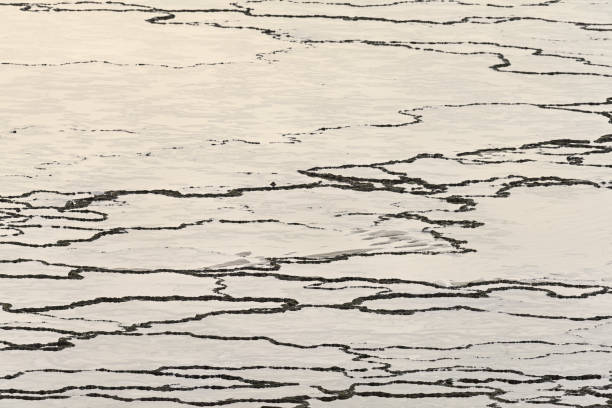 Unique Sand Patterns at Vila Nova de Milfontes, Portugal