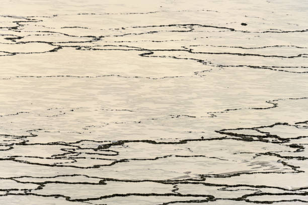 istock Tide Patterns on Sand at Vila Nova de Milfontes, Portugal 2165411357