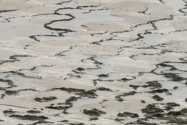 istock Tide Patterns on Sand at Vila Nova de Milfontes, Portugal 2165411361