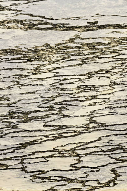 Tide Patterns on Sand at Vila Nova de Milfontes, Portugal