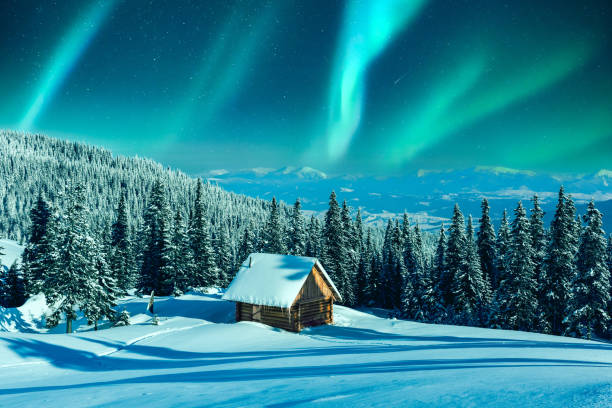 istock Northern lights in winter forest 2165412852