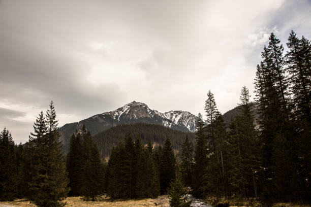 View of snow-capped mountain peaks from the Chochołowska Valley. On a cloudy winter morning, the peaks of the Tatra Mountains look menacing and gloomy against the dark sky.