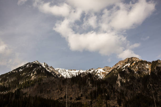 View from the Kościeliska Valley to the snow-capped peaks of the Tatra Mountains. Sharp mountain peaks are visible against the blue sky on a sunny day. The peaks are devoid of trees that appear at lower altitudes.