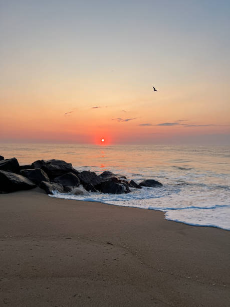 Sunrise at the beach