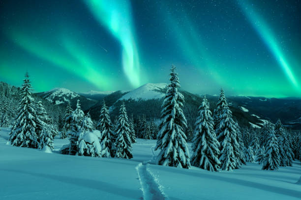 istock Northern lights in winter forest 2165414439