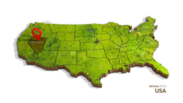 3D rendering of united states map highlighting NEVADA state isolated on white background