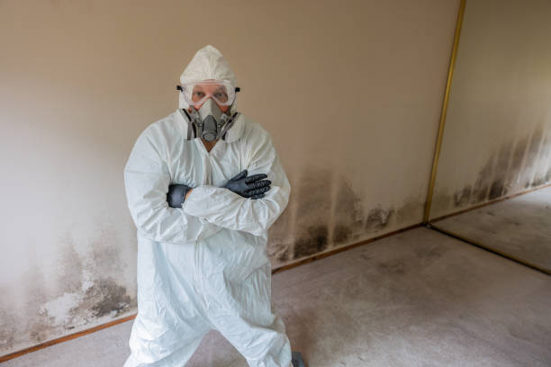istock Home Mold Remediation 2165416778