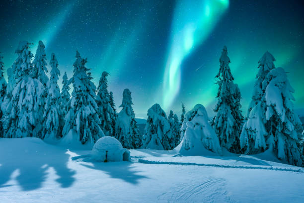 istock Wintry scene with glowing polar lights and snowy igloo 2165417805
