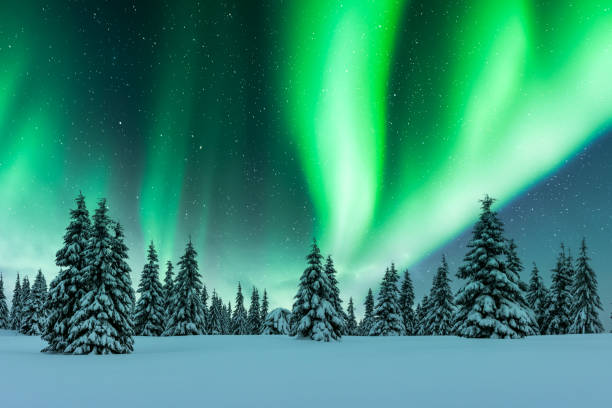 istock Northern lights in winter forest 2165418132