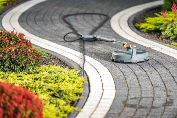 istock Pressure Washer Tool on Garden Pathway Surrounded by Colorful Shrubs 2165425282