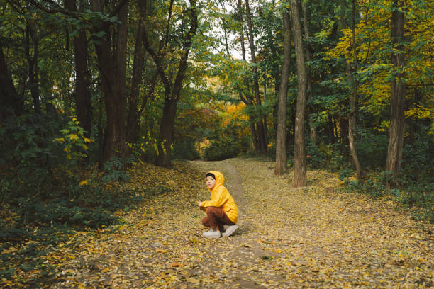 A child wearing a yellow raincoat is walking in a forest. The ground is covered with colorful autumn leaves. Sunlight filters through the branches, illuminating the serene atmosphere of the forest