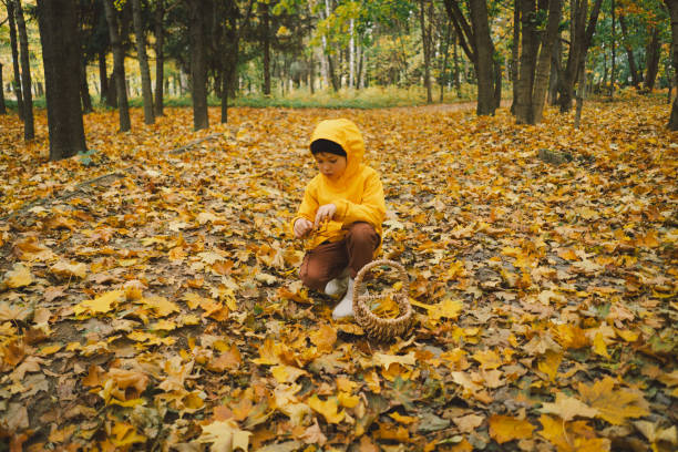 A joyful child dressed in a bright yellow raincoat walks along a serene forest path covered with vibrant autumn leaves. Autumn mood. Beautiful autumn