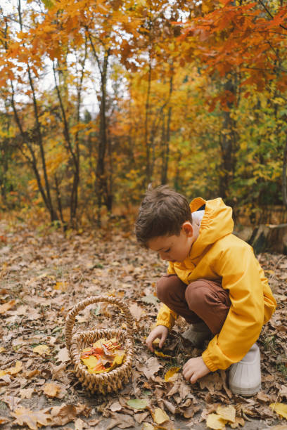 istock Child dressed in a bright yellow raincoat walks along a serene forest 2165432840