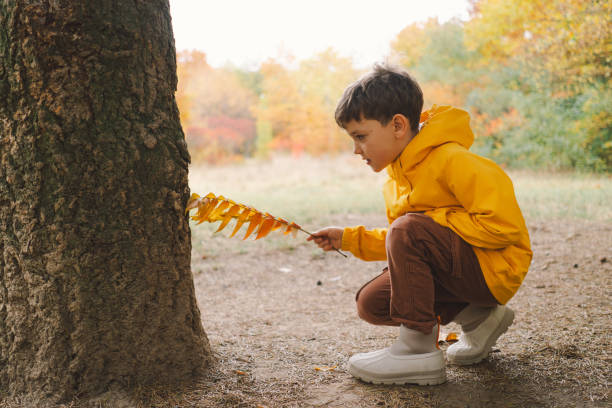 istock Child dressed in a bright yellow raincoat walks along a serene forest 2165432862