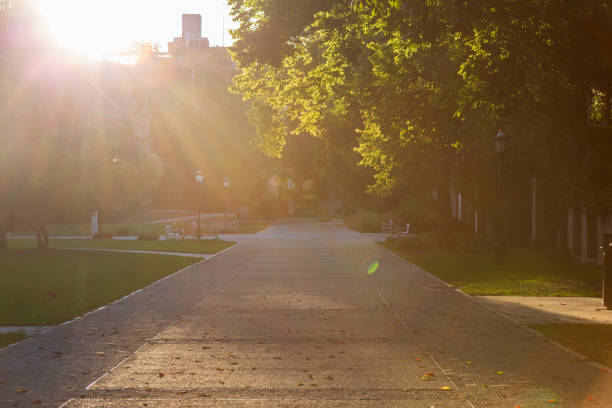 istock University of Chicago Campus 2165438294