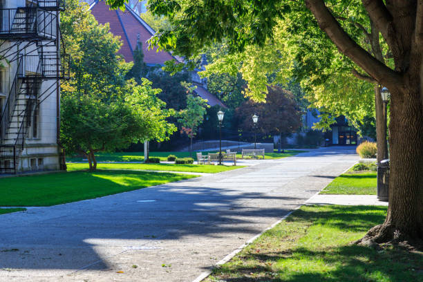 istock University of Chicago Campus 2165438348