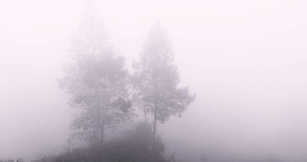 lake in winter in foggy weather, foggy day on the lake in winter season