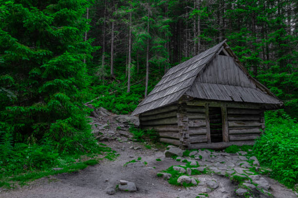 istock Wooden house in a pine forest 2165442221