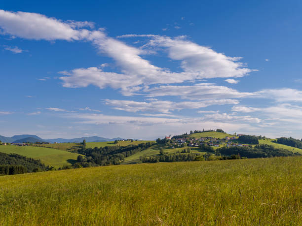 Summer landscape in the Mostviertel, Lower Austria