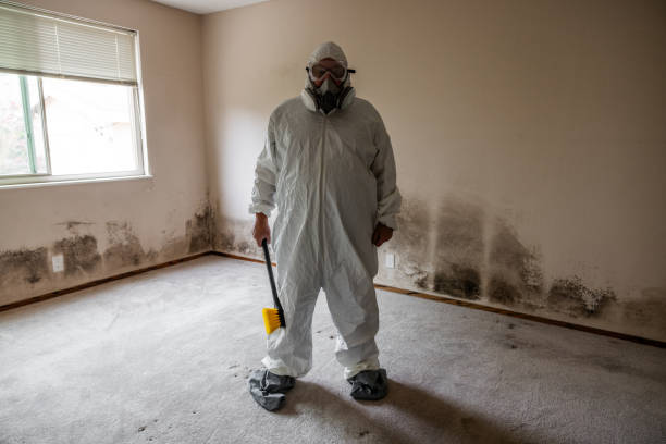 Home Mold Remediation Stock photo of mold and mildew damage from a leaking roof. Water Removal.