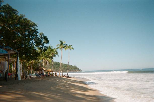 istock Mexican Beach with Palm Trees 2165448897