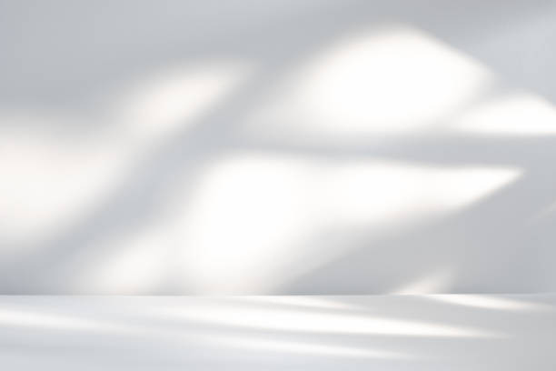 istock Soft Natural Light Casting Gentle Shadows on a Minimalist White Background 2165462648
