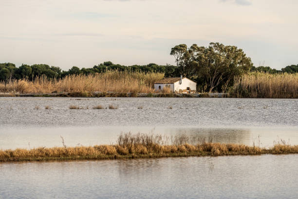 A charming thatched-roof cottage stands by the water's edge in Albufera Natural Park near Valencia, offering a peaceful rural retreat.