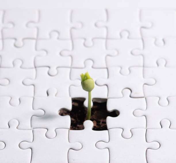 istock Young plant coming through a blank of white jigsaw puzzle 2165464871