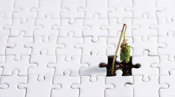 istock Young plant coming through a blank of white jigsaw puzzle 2165464873