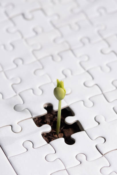 istock Young plant coming through a blank of white jigsaw puzzle 2165464876