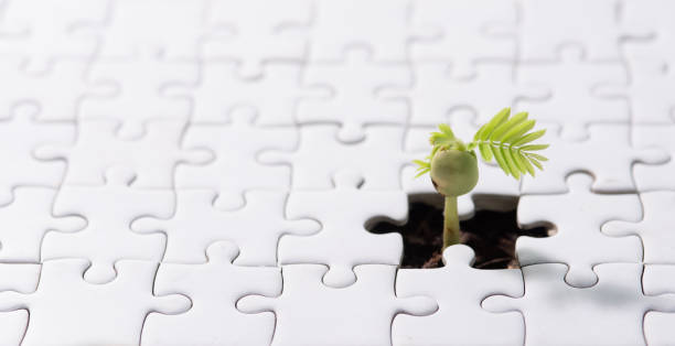 istock Young plant coming through a blank of white jigsaw puzzle 2165464877
