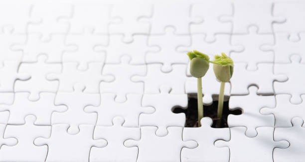 istock Young plant coming through a blank of white jigsaw puzzle 2165464879